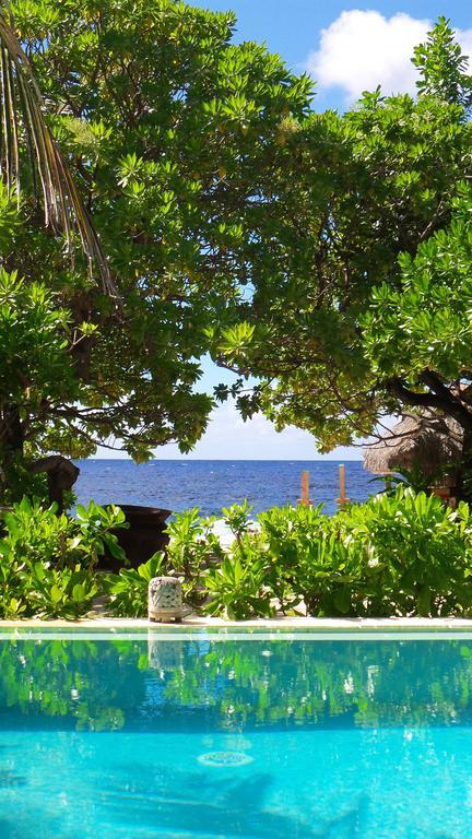 Green Lodge Moorea Temae Eksteriør billede